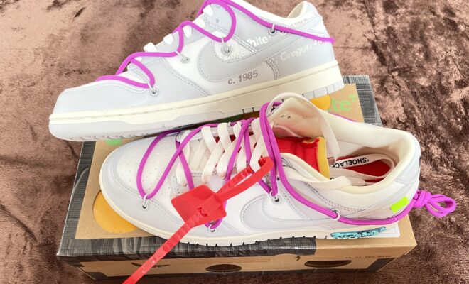 off white dunk low multicolor