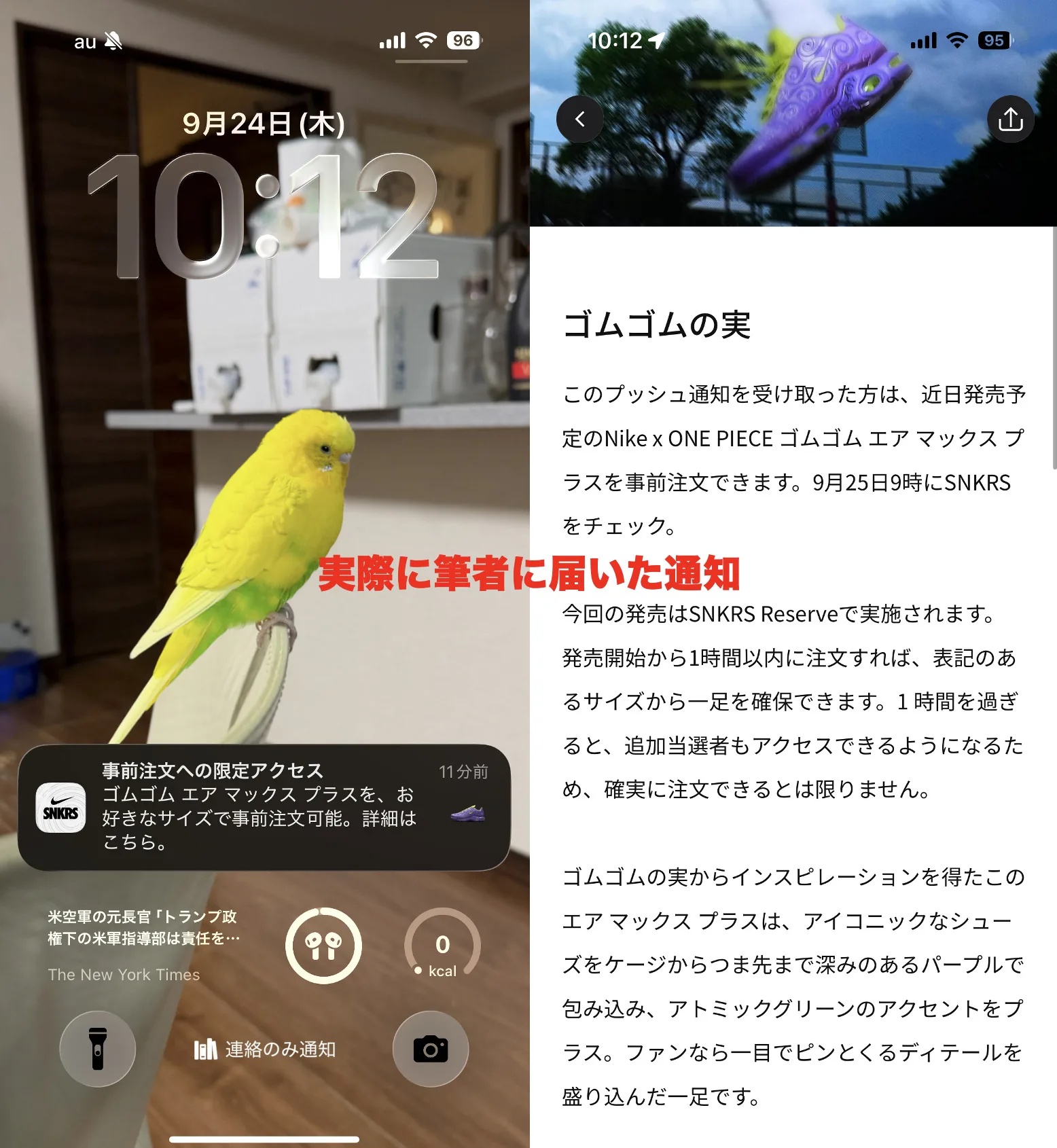 ナイキ　ワンピース　エアマックス　プラス　ワンピースカード　ゴムゴム　SNKRS